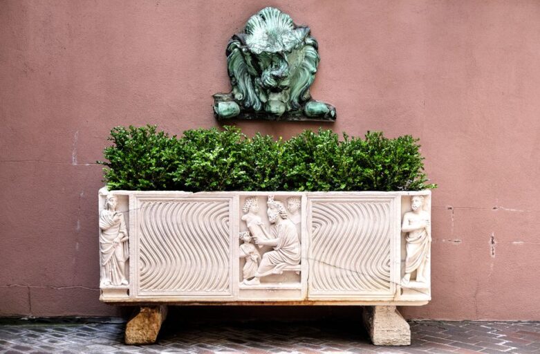 Hoge smalle plantenbakken met groene planten op een terras, perfect voor kleine tuinen.